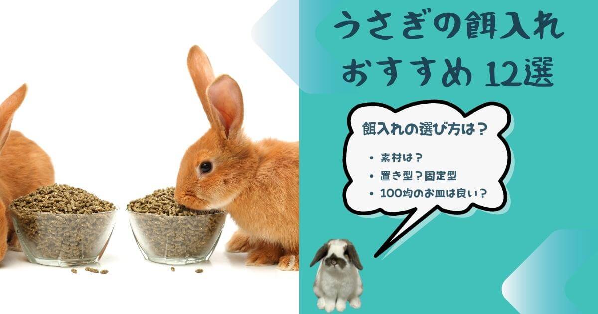 おすすめのうさぎの餌入れ 100均の餌入れはひっくり返す 餌入れの選び方 うさぎの勉強部屋